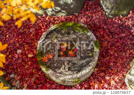 秋の京都　金福寺　知足のつくばい 128078657