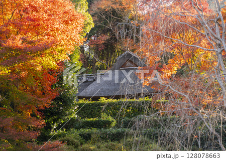 秋の京都　金福寺　紅葉が美しい庭園から芭蕉庵が見える 128078663