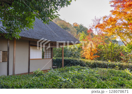 秋の京都 金福寺 芭蕉庵と庭園 秋の京都 金福寺 芭蕉庵と庭園 128078671