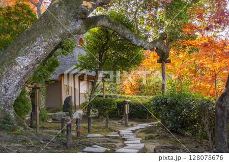 秋の京都　金福寺　芭蕉庵と庭園 128078676
