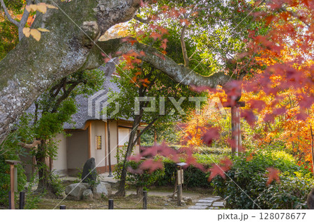 秋の京都　金福寺　芭蕉庵と庭園 128078677