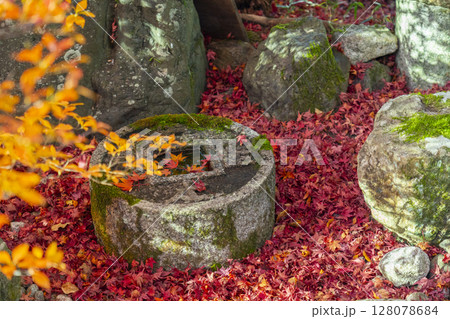 秋の京都　金福寺　敷き紅葉と知足のつくばい 128078684