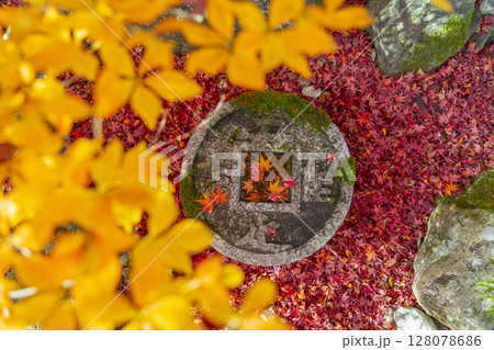 秋の京都 金福寺 敷き紅葉と知足のつくばい 秋の京都 金福寺 敷き紅葉と知足のつくばい 128078686