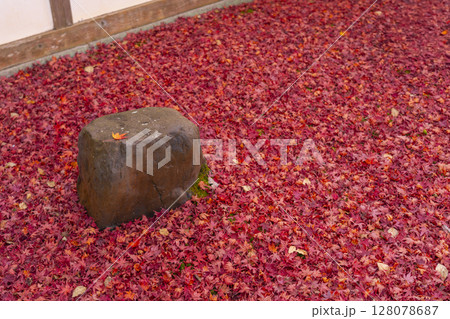 秋の京都　金福寺　敷紅葉が美しい庭 128078687