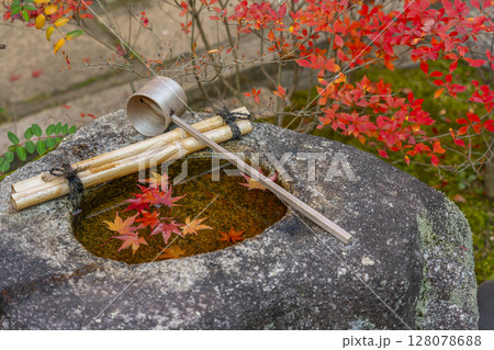 秋の京都 金福寺 水に浮かぶ紅葉と水鉢 秋の京都 金福寺 水に浮かぶ紅葉と水鉢 128078688