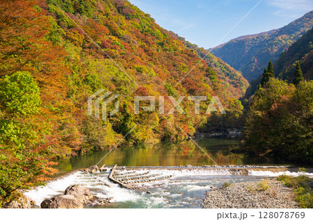 秋田県の抱返り渓谷の秋景色 秋田県の抱返り渓谷の秋景色 128078769