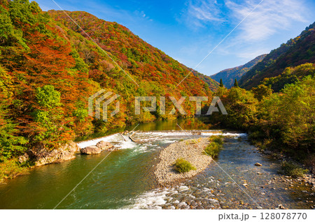 秋田県の抱返り渓谷の秋景色 秋田県の抱返り渓谷の秋景色 128078770