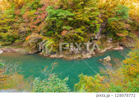 秋田県の抱返り渓谷の秋景色 128078772
