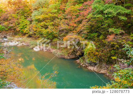 秋田県の抱返り渓谷の秋景色 128078773