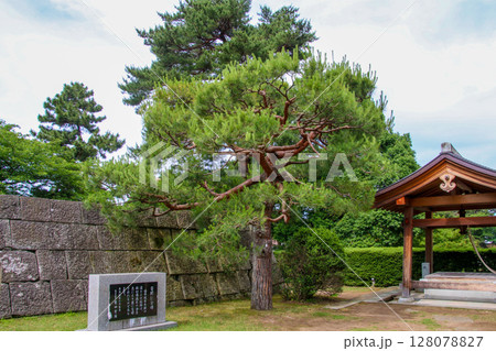 福井城 128078827