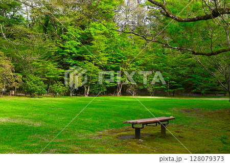 箱根　ハイランドホテルの景色 128079373