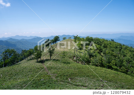 夏の釈迦ヶ岳の登山道 128079432