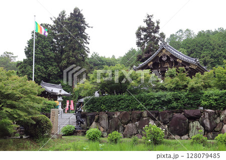 紫陽花の寺 金剛寺（兵庫県 三木市） 128079485
