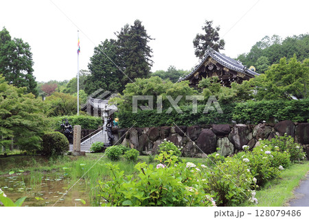 紫陽花の寺 金剛寺（兵庫県 三木市） 128079486