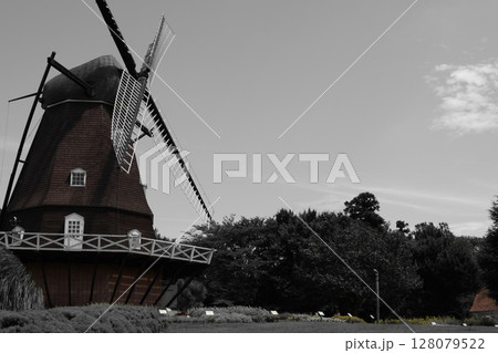 風車のある風景 128079522