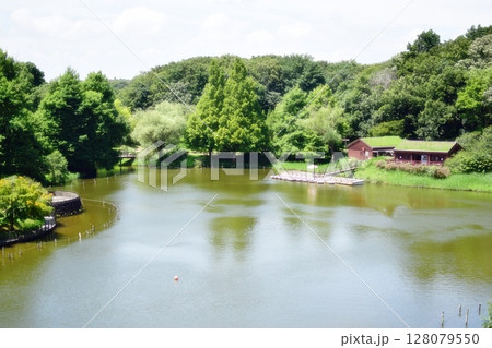 ふなばしアンデルセン公園にある池 128079550