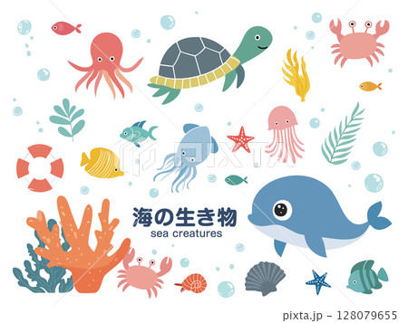 海の生き物 128079655