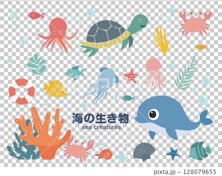 海の生き物 128079655