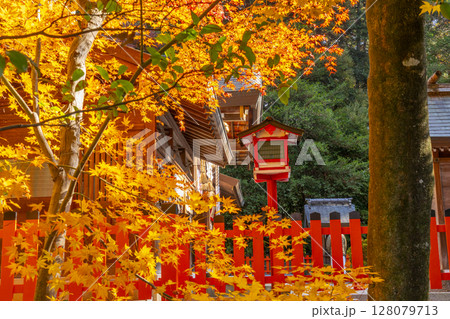 秋の京都　紅葉に包まれた鷺森神社　拝殿 128079713