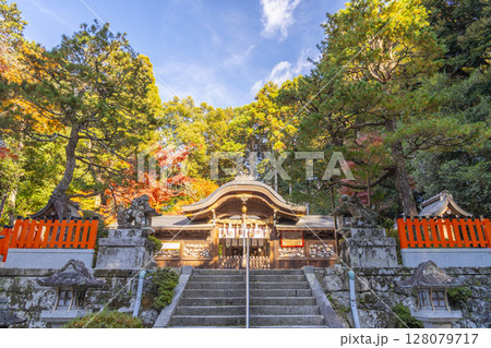 秋の京都　紅葉に包まれた鷺森神社本殿 128079717