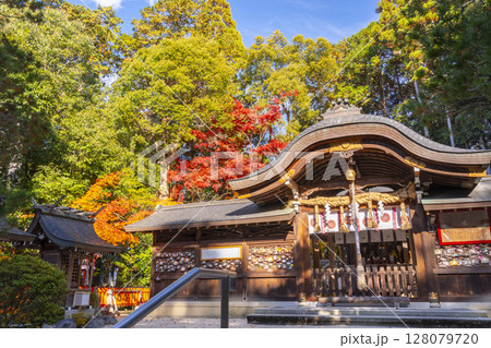 秋の京都 紅葉に包まれた鷺森神社本殿 秋の京都 紅葉に包まれた鷺森神社本殿 128079720