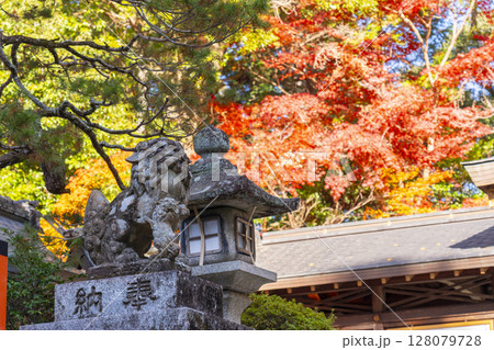 秋の京都　鷺森神社　紅葉に包まれた境内 128079728