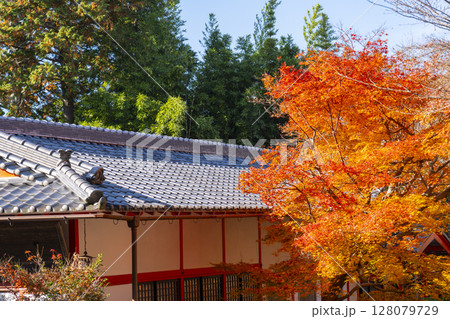 秋の京都　鷺森神社　紅葉に包まれた境内 128079729