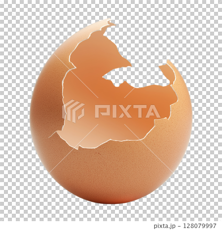Broken Egg Shell 128079997