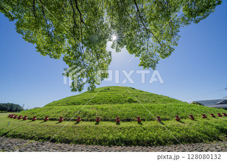 青塚古墳史跡公園の景色 128080132