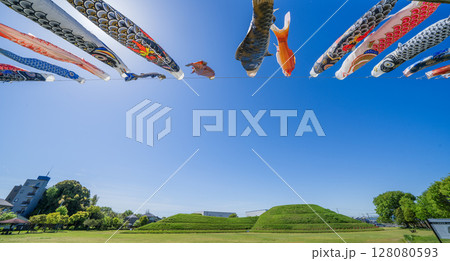 青塚古墳史跡公園の景色 128080593