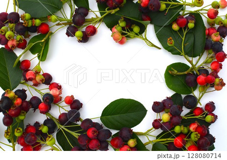 カラフルなジューンベリーの実の額縁 カラフルなジューンベリーの実の額縁 128080714