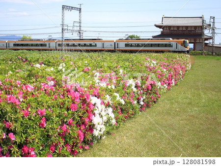 世界遺産奈良平城宮跡に復元された朱雀門前を走行する近鉄特急 128081598