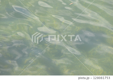 海 海 128081753