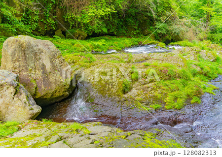 (熊本県)菊池渓谷 四十三万滝 (熊本県)菊池渓谷 四十三万滝 128082313