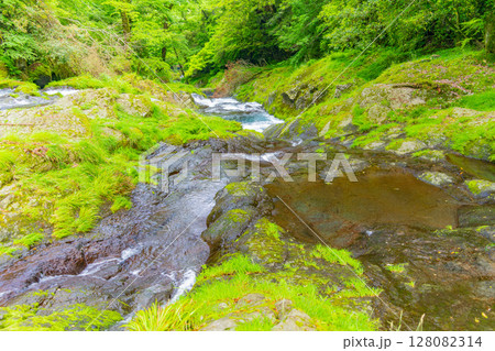 （熊本県）菊池渓谷　四十三万滝 128082314