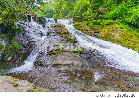 (熊本県)菊池渓谷 四十三万滝 (熊本県)菊池渓谷 四十三万滝 128082320