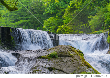 (熊本県)菊池渓谷 四十三万滝 (熊本県)菊池渓谷 四十三万滝 128082323