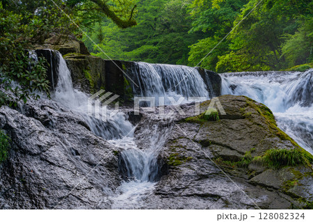 （熊本県）菊池渓谷　四十三万滝 128082324
