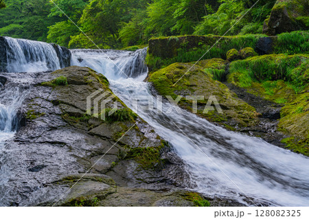 (熊本県)菊池渓谷 四十三万滝 (熊本県)菊池渓谷 四十三万滝 128082325