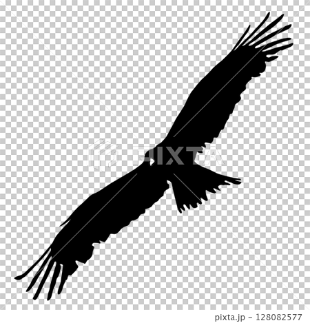 拍打鳥 128082577