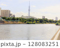 隅田川から望むスカイツリー 128083251