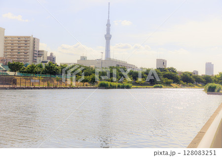 隅田川から望むスカイツリー 128083251