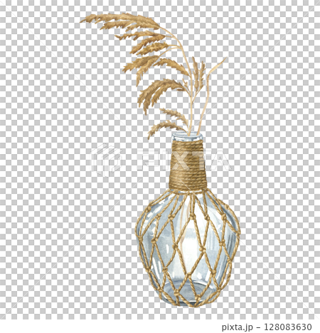 Dry natural reed plant in glass bottle wrapped with rope netting. Hand drawn watercolor illustration of pampas grass and flask on isolated background. Use for cards and invitations in boho style. 128083630