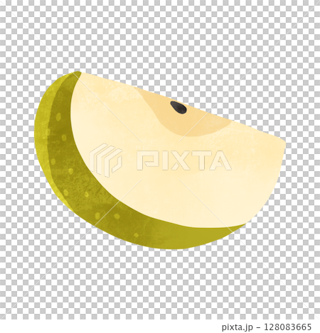 日本梨的橫切面-手繪插圖 日本梨的橫切面-手繪插圖 128083665