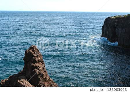 城ケ崎海岸の景色 城ケ崎海岸の景色 128083968