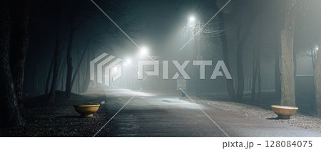 Foggy night in the park with glowing street lights 128084075
