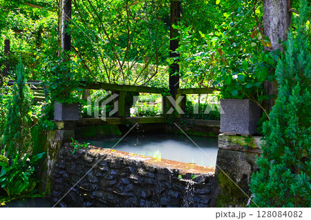ACAO FORESTの景色 ACAO FORESTの景色 128084082