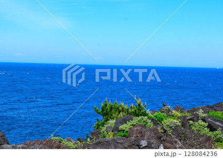 城ケ崎海岸の景色 城ケ崎海岸の景色 128084236