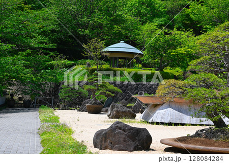 ACAO FORESTの景色 128084284