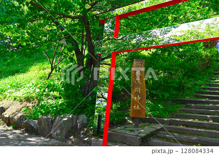 ACAO FORESTの景色 128084334